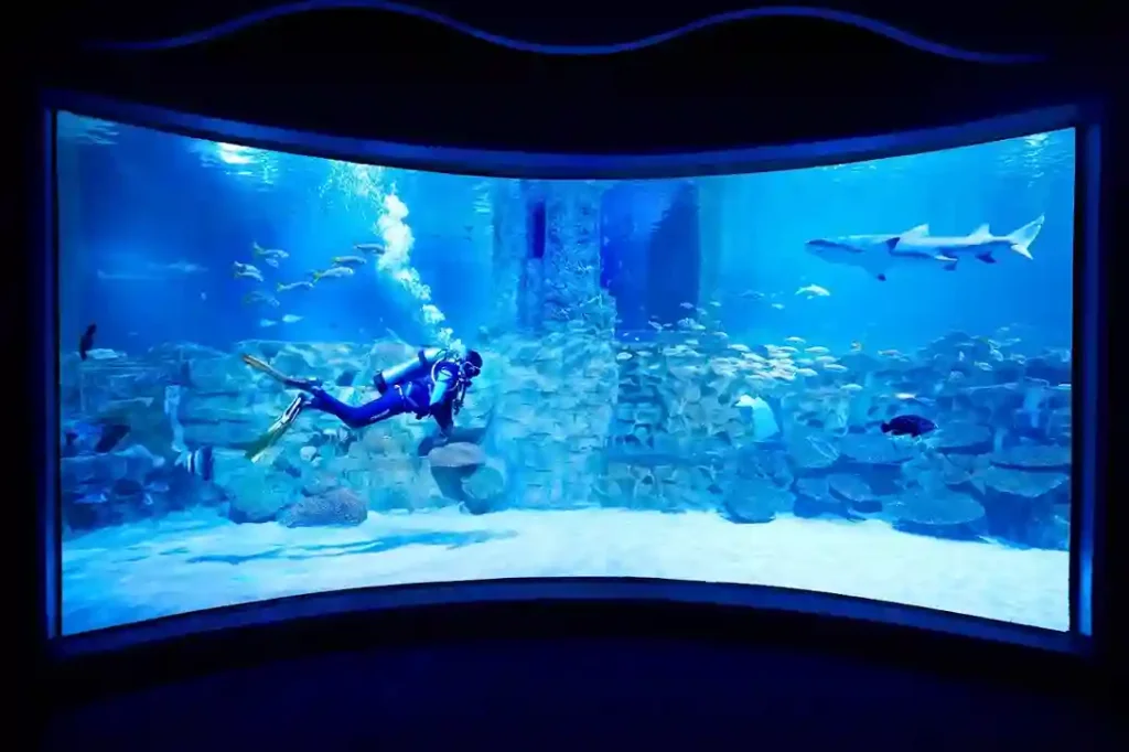 VGP Marine Kingdom